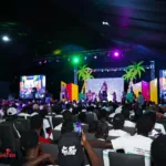 MEF3